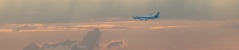 飛行機ばかり
